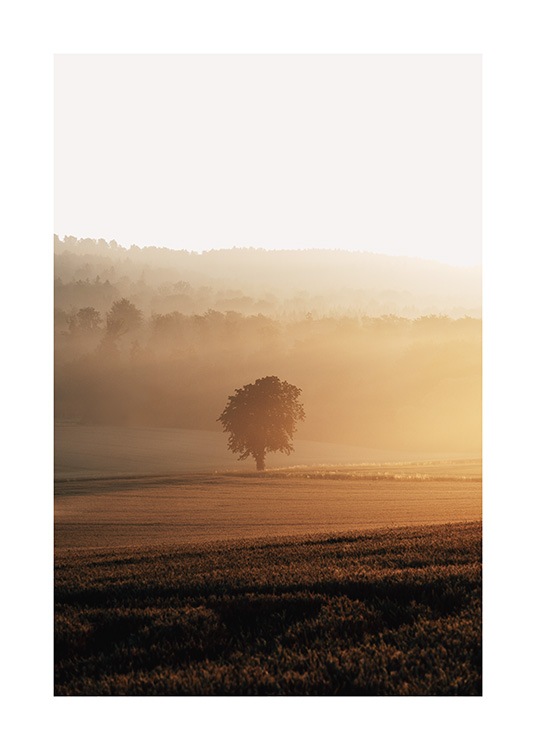  – Valokuva puusta sumuisella niityllä auringonnousussa