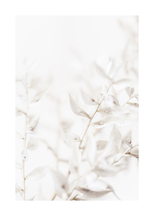  – Lähikuva kimpusta valkoisia lehtiä vaaleanharmaalla taustalla