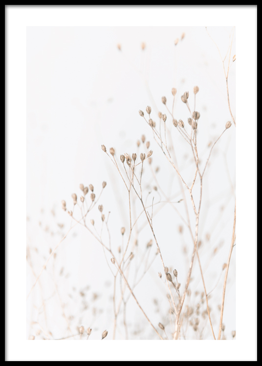 Grass in soft tones