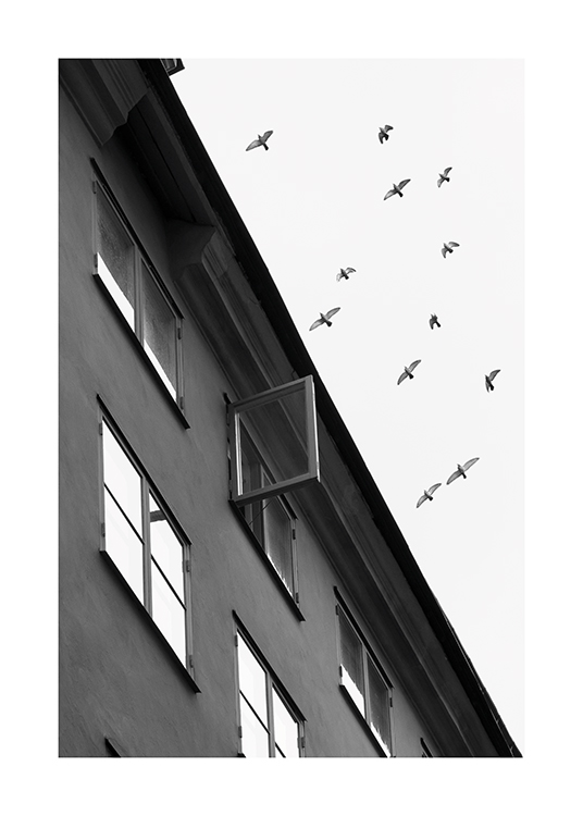  – Mustavalkoinen valokuva rakennuksen ja sen avoimen ikkunan yli lentävästä lintuparvesta