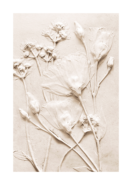  – Valokuva beigeistä kukista beigellä betonitaustalla