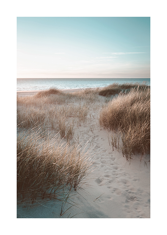  – Valokuva heinän peittämistä hiekkadyyneistä valtameri taustallaan