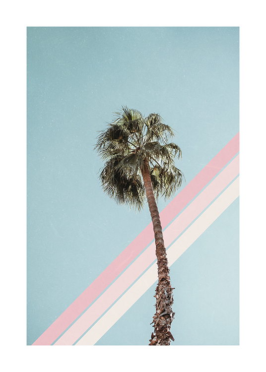  – Valokuva korkeasta palmupuusta, jonka takana sininen taivas ja kolme vaaleanpunaista raitaa