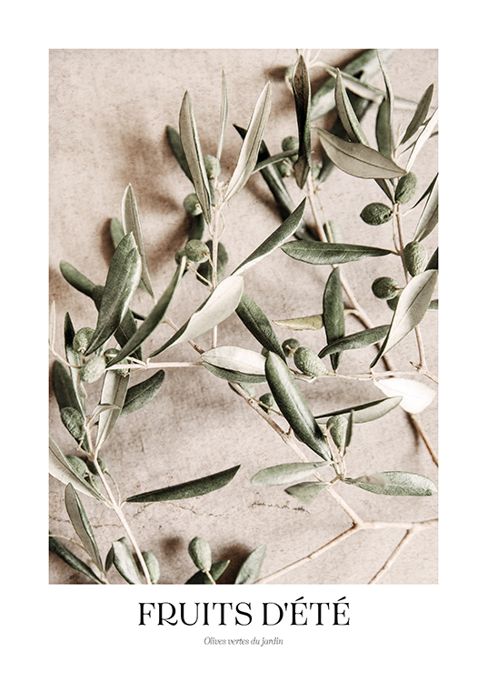  – Valokuva vihreistä oliiveista oliivinoksassa beigellä kivitaustalla