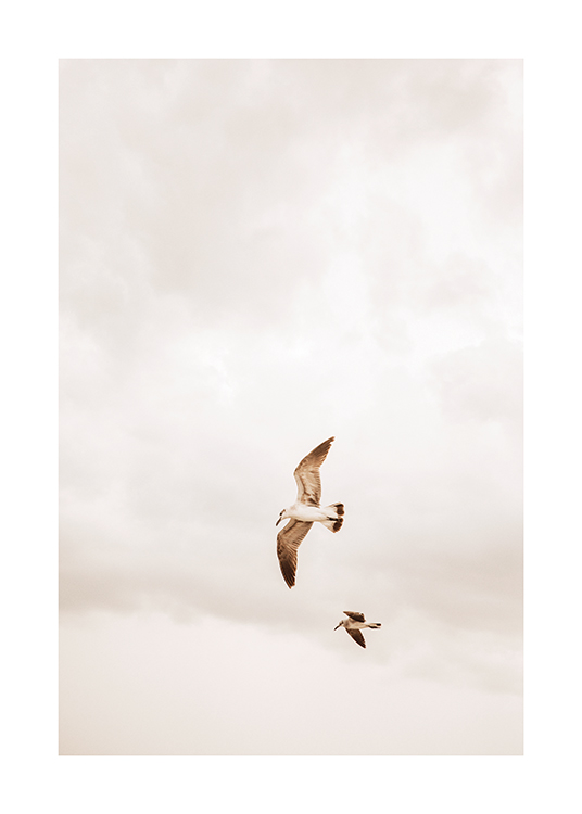 – Kuva kahdesta pilvisellä taivaalla lentävästä linnusta