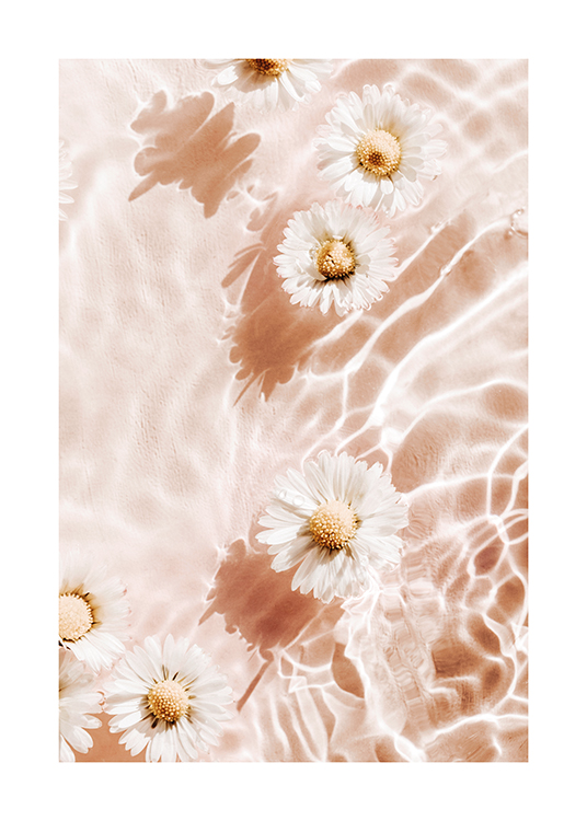  – Valokuva vedessä kelluvista valkoisista kukista vasten vaaleanpunaista taustaa
