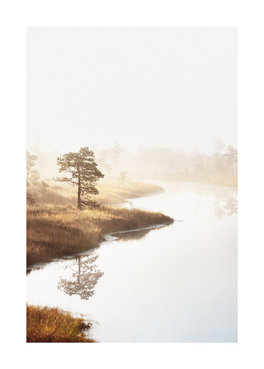  – Valokuva puista ja heinästä veden äärellä ja sumusta maisemassa
