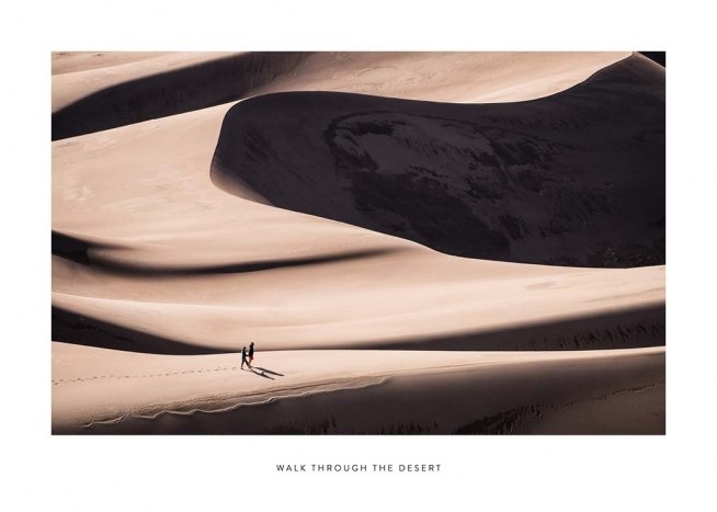 Walk Through The Desert Juliste