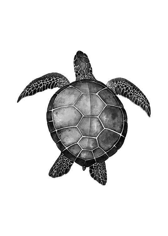 Turtle Juliste