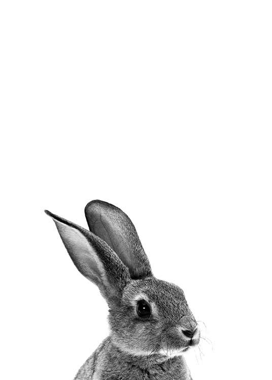 Grey Bunny Juliste / Lasten taulut Osoitteessa Desenio ab (2302)