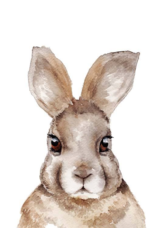 Rabbit Portrait Juliste
