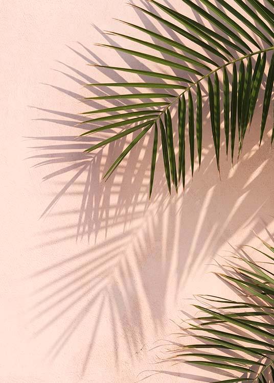 Pink Palm Juliste