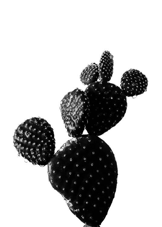 Black Cactus Two Juliste