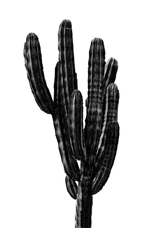 Black Cactus Three Juliste / Mustavalkoiset Osoitteessa Desenio ab (2431)