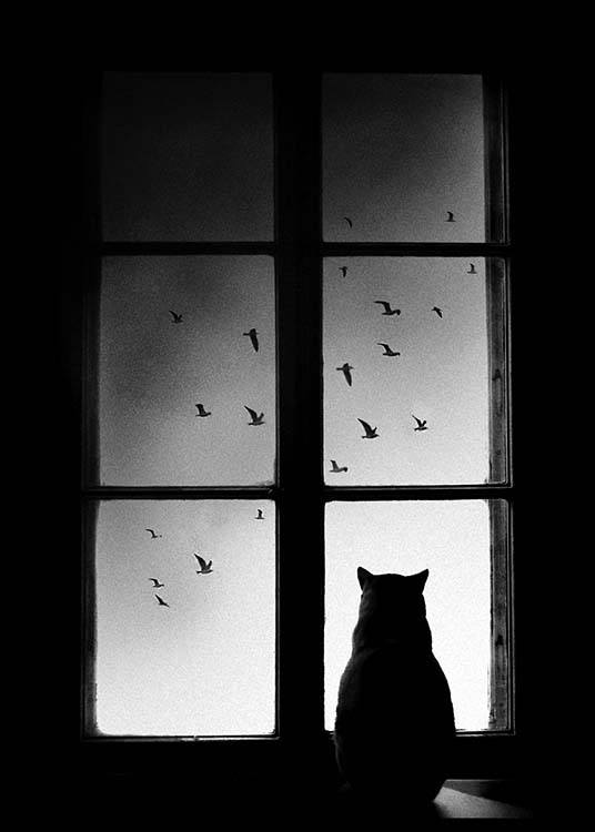 Cat In Window Juliste / Mustavalkoiset Osoitteessa Desenio ab (2675)