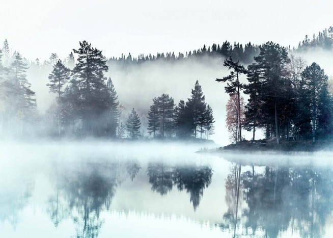 Foggy Lake Juliste