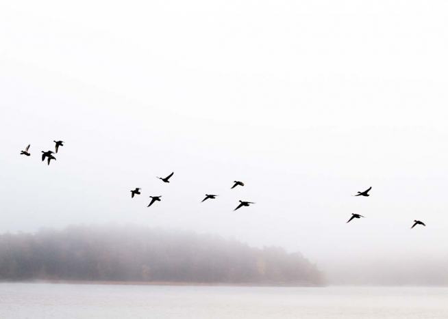 Birds Over Lake Juliste