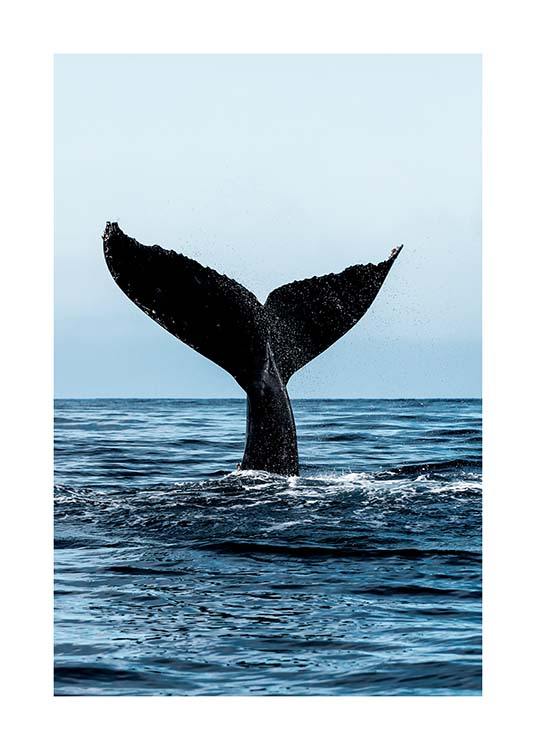 Humpback Tale Juliste