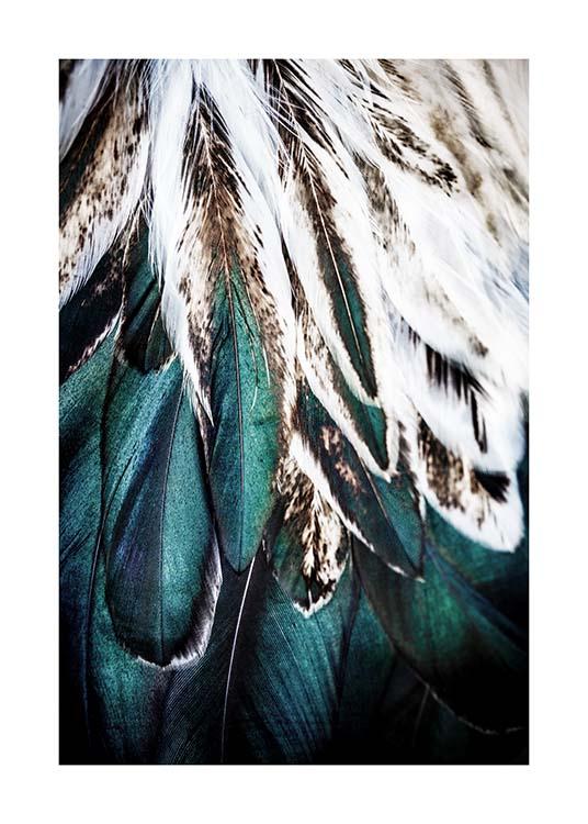 Green Feathers Juliste / Valokuvat Osoitteessa Desenio ab (2732)