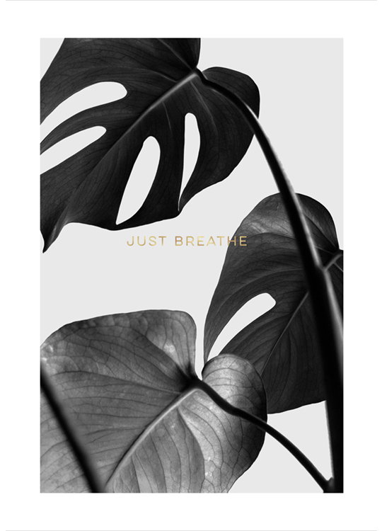 Remember To Breathe Juliste