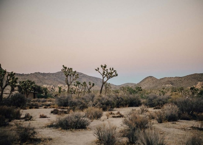 Mojave Desert Juliste / Luontoaiheet Osoitteessa Desenio ab (2888)