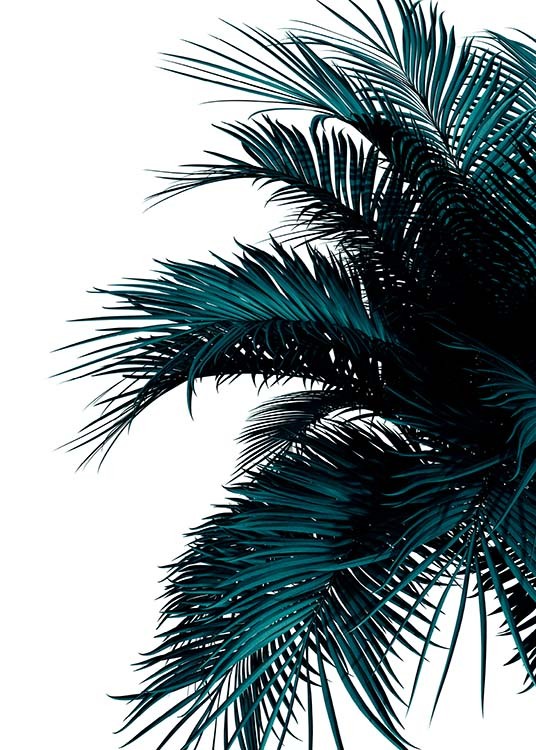 Green Palm Tree Juliste / Kasviaiheet Osoitteessa Desenio ab (2907)