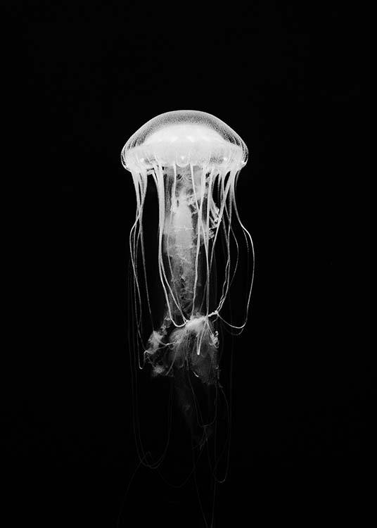 Jellyfish B&W Juliste