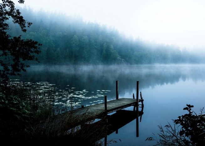 Moody Morning Juliste