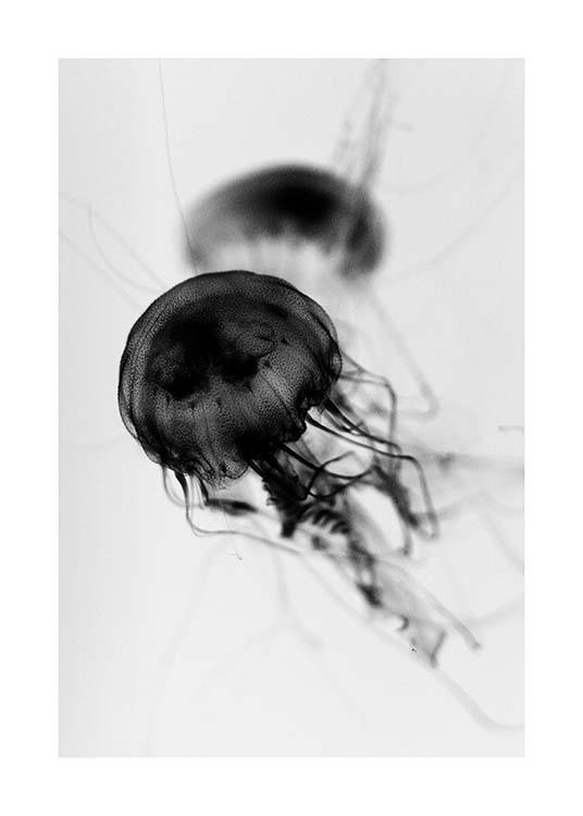 Floating Jelly Fish Juliste