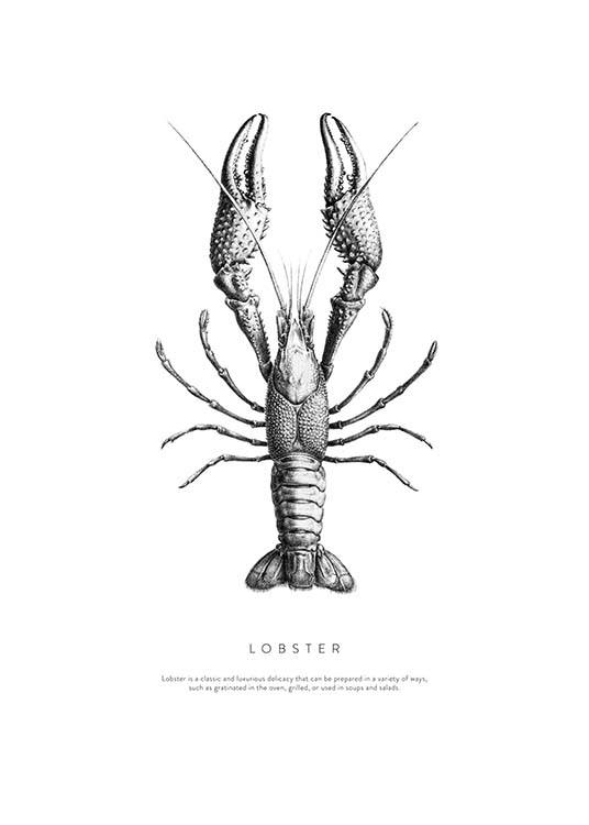 Lobster No1 Juliste