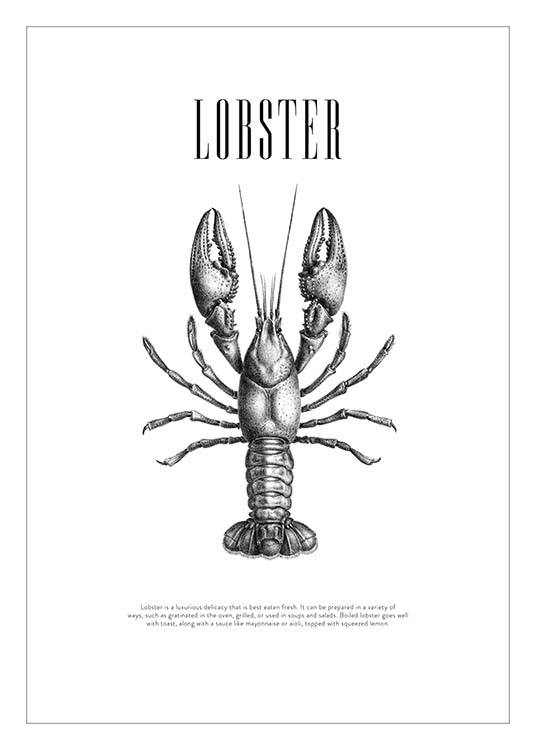 Lobster No2 Juliste