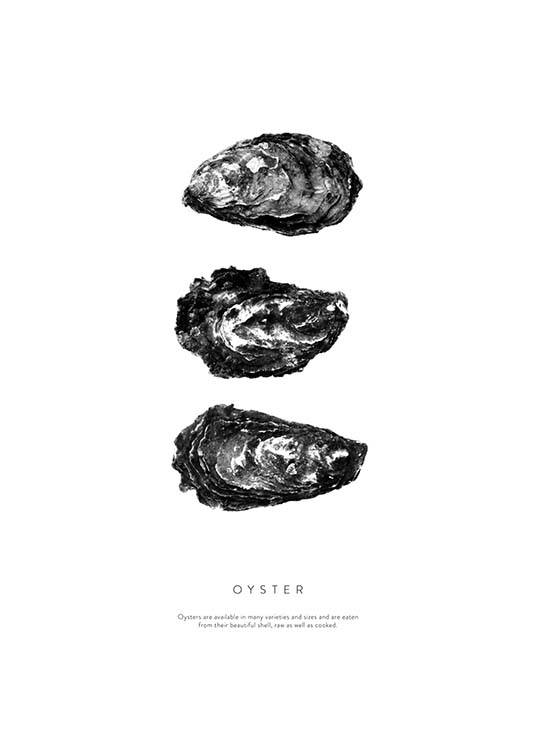 Oyster Three Juliste / Mustavalkoiset Osoitteessa Desenio ab (3165)