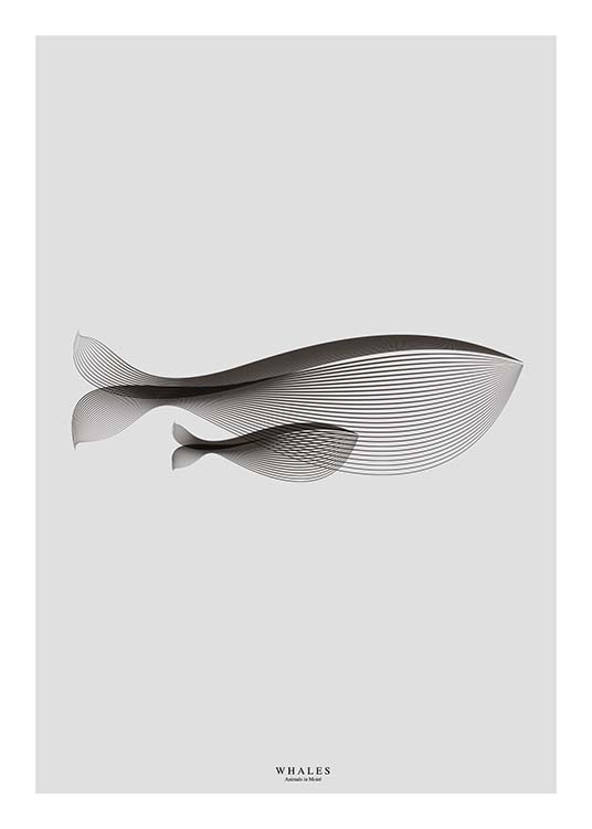 Whales In Moiré Juliste