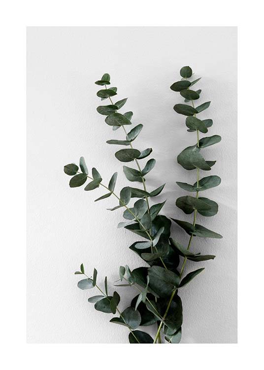  – Valokuva kimpusta eukalyptuksenoksia vihreine lehtineen vasten harmaata taustaa