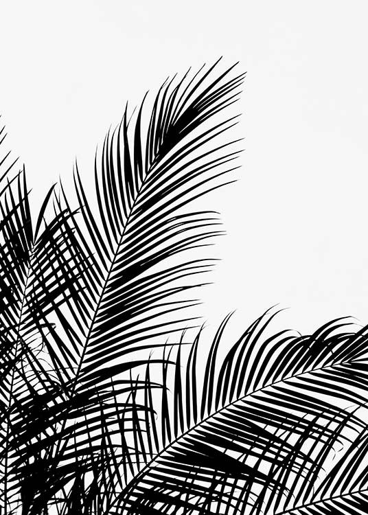 Black Palm Tree Two Juliste