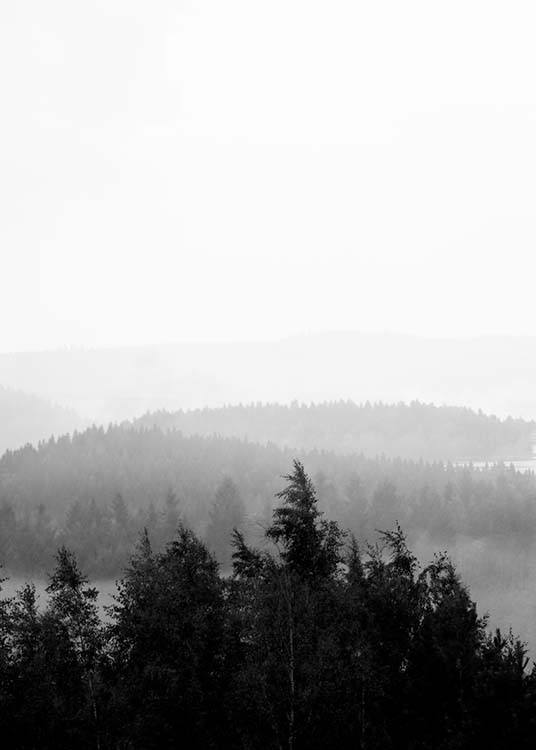 Foggy Woods B&W Juliste