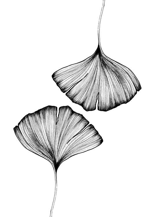 Ginkgo Leaves Juliste / Mustavalkoiset Osoitteessa Desenio ab (3600)