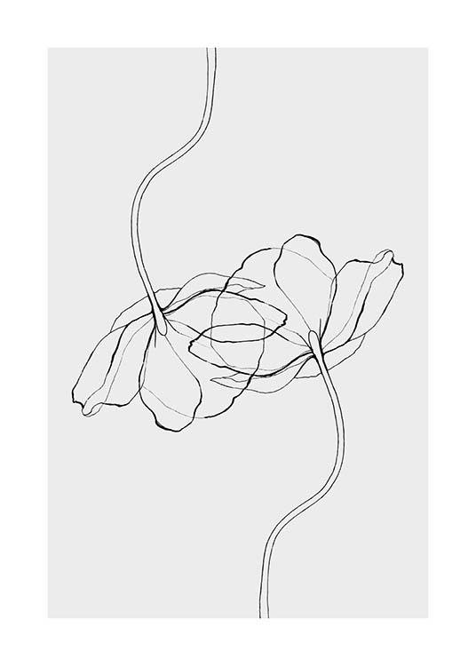 Line Poppies Juliste