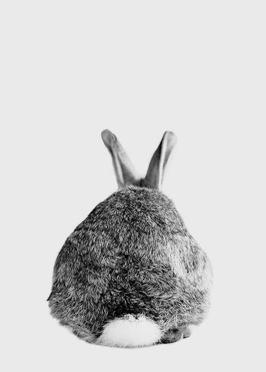 The Cutest Thing Juliste