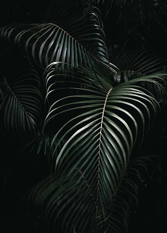 Dark Green Palm Leaves No1 Juliste / Valokuvat Osoitteessa Desenio ab (3772)