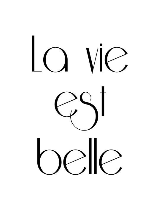 La Vie Est Belle, Juliste / Mustavalkoiset Osoitteessa Desenio ab (7384)