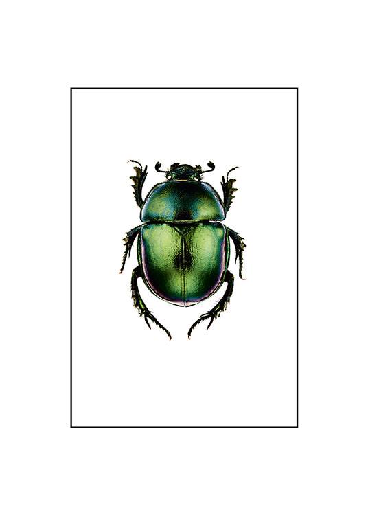 Beetle, Small / Vintage Osoitteessa Desenio ab (7430)