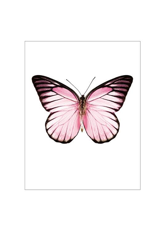 Pink Butterfly Small Juliste 