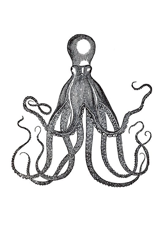 Vintage Octopus / Vintage Osoitteessa Desenio ab (7470)