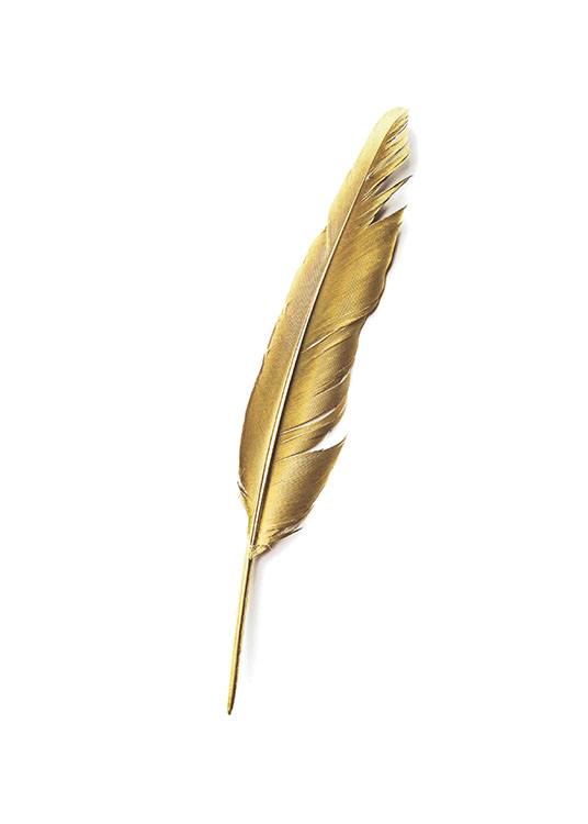 Gold Feather, Juliste / Tekstitaulut Osoitteessa Desenio ab (7605)