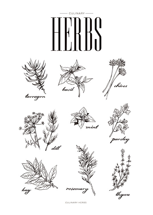 Herbs, Juliste