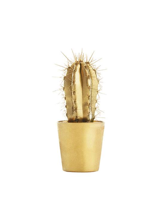 Gold Cactus, Juliste