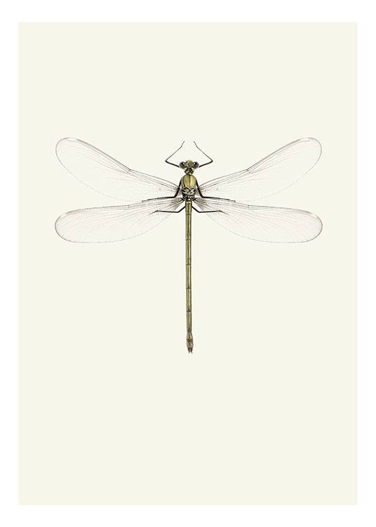 Vintage Dragonfly, Juliste 