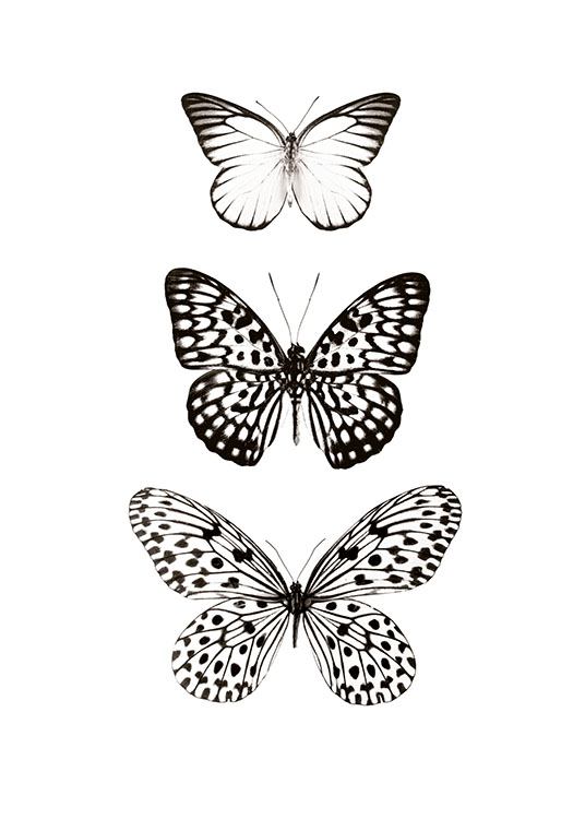 Three Butterflies, Juliste
