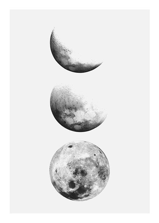 Moon Phase, Juliste